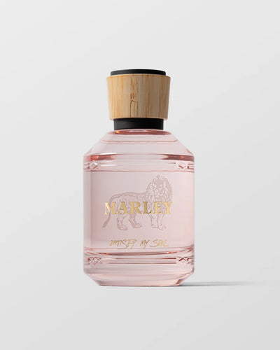 Michael Malul Marley Satisfy my Soul EDP 100 ML - available at Sand Dollar Shop